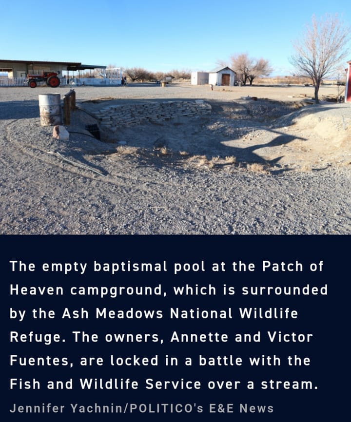 Little Patch of Heaven